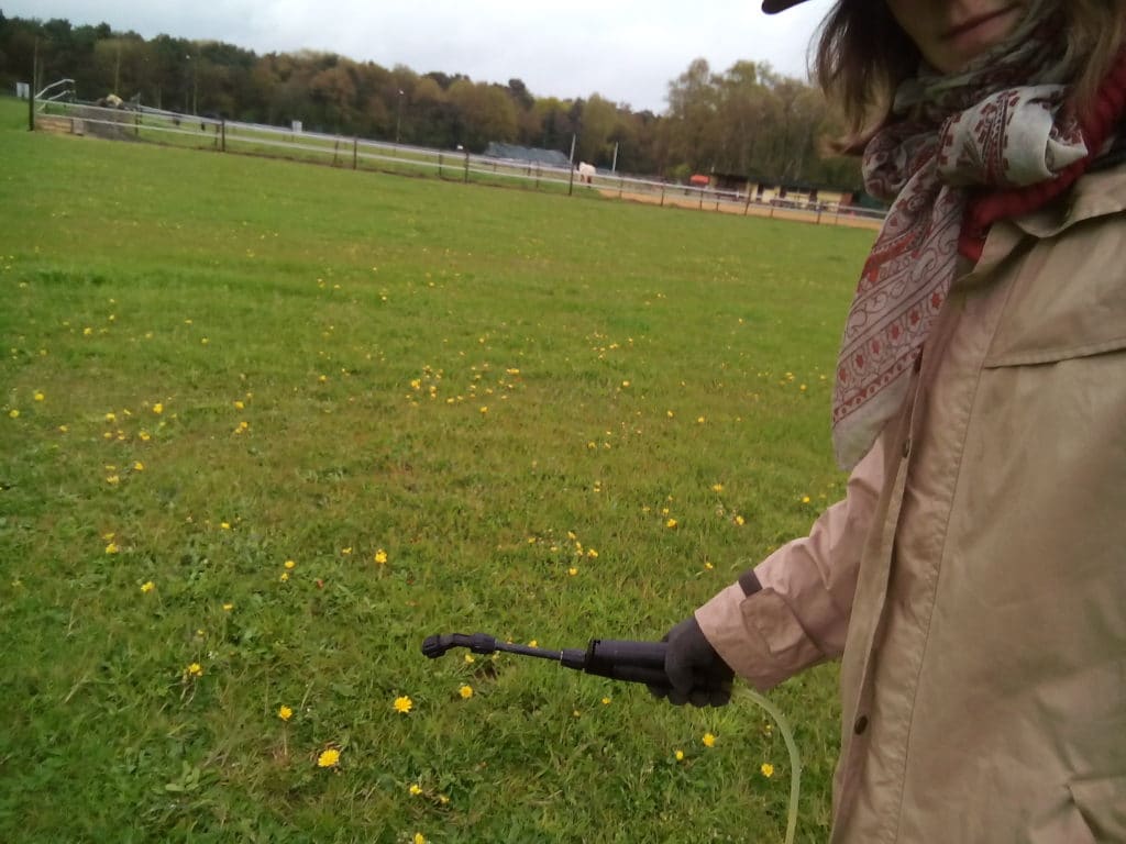 geheel bespoten weide met multi task