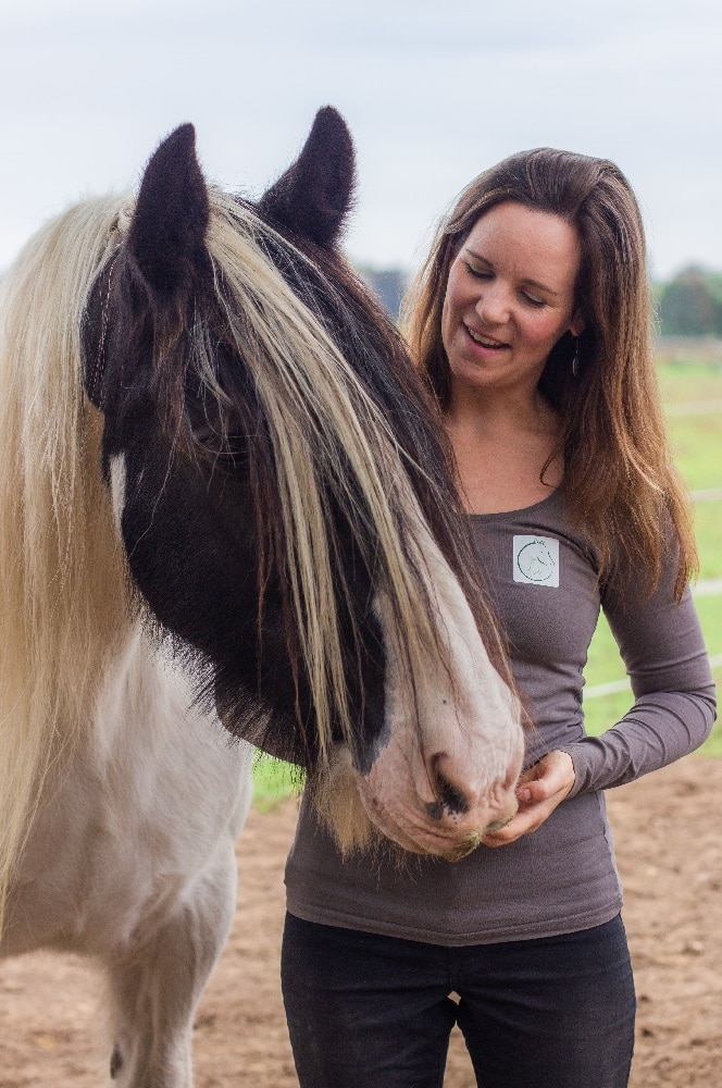 supervisor uurtje, pure horse, casussen, verlenging begeleiding, Los bijpraat moment, Voedingsadvies op maat