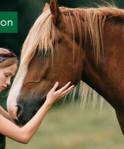 Cadeaubon paarden Pure Horse cadeau