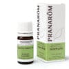 duizendblad olie, gezondheid, pure horse, paardenvoeding, essentiele olie
