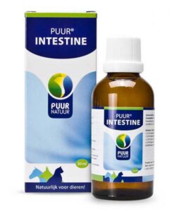 PUUR | Intestine